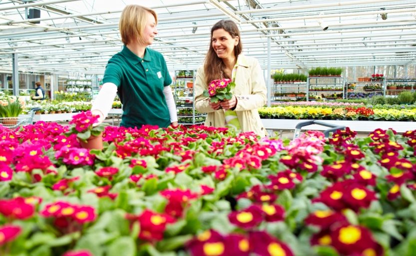 Abwechslung garantiert: Ob Pflanzen heranziehen oder verkaufen, mit Pflanzen gestalten oder Kundschaft beraten - der Beruf Gärtner bietet viele Möglichkeiten für Organisationstalente.