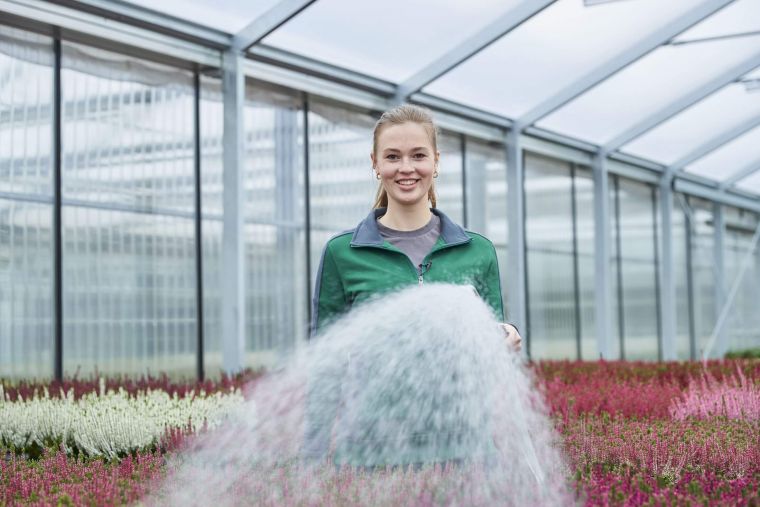 Fachgerechte Pflege, Bewässerung und Bodenkunde prägen den Arbeitsalltag im Gartenbau.
