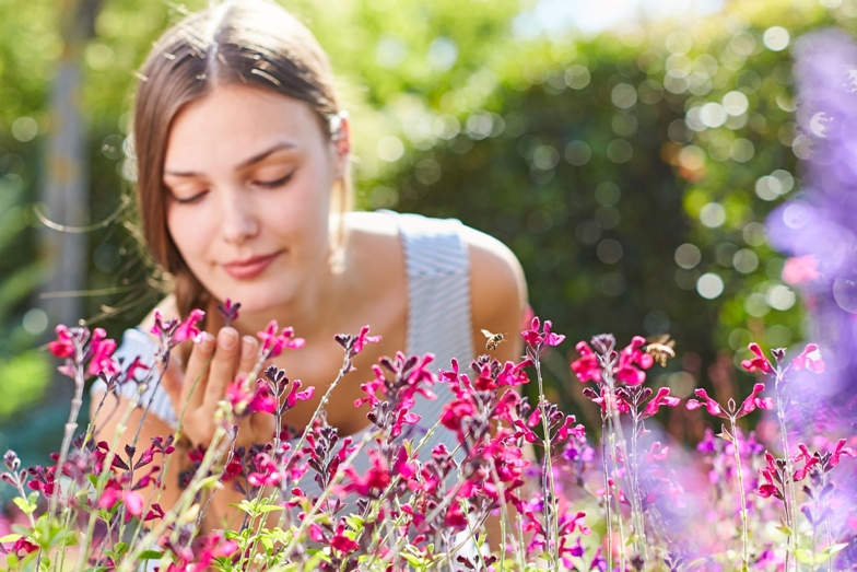 Beet- und Balkonpflanzen bringen mit ihren leuchtenden Farben Freude in die Welt und versorgen Insekten mit lebenswichtigem Nektar und Pollen.