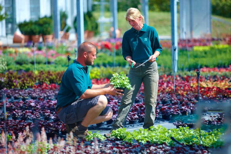 Gärtner im Einsatz für die Umwelt: In diesem Beruf hat man viele Möglichkeiten, einen Beitrag für Natur und Klima zu leisten.