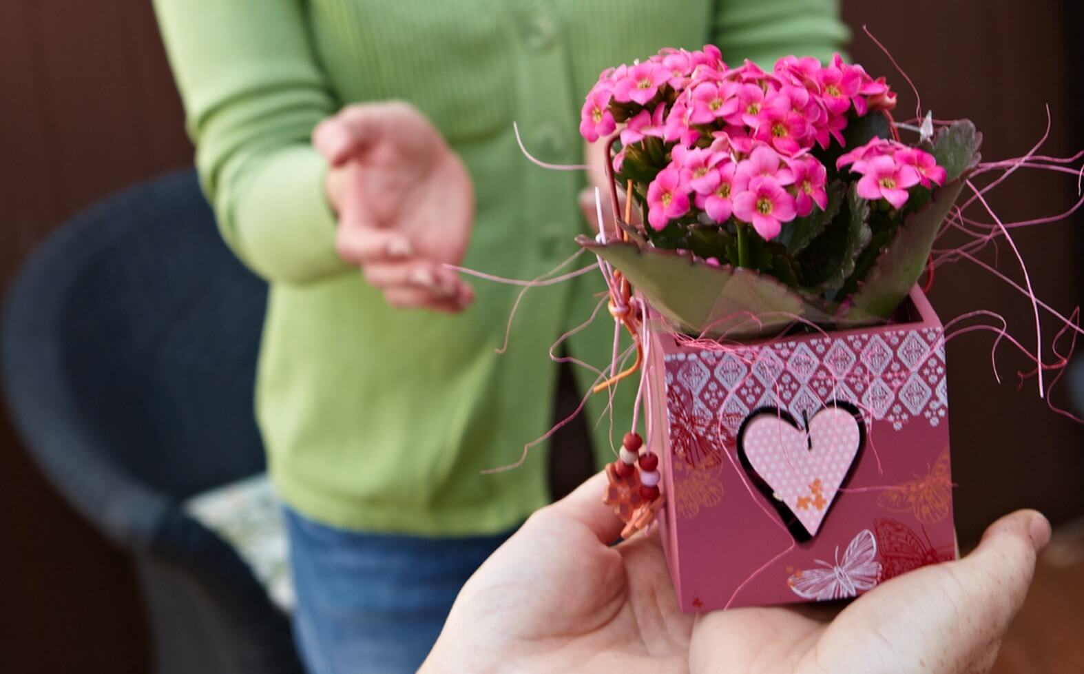 Lebende Pflanzen sind ein attraktives Valentins-Geschenk.